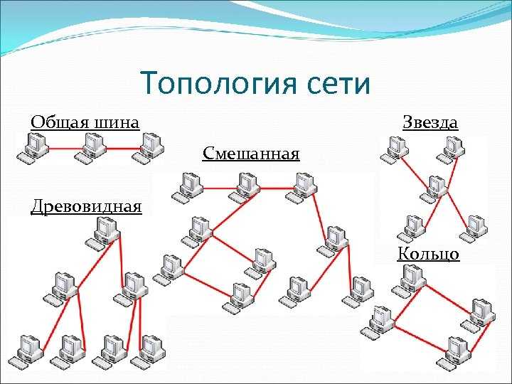 Топология «общая шина»
