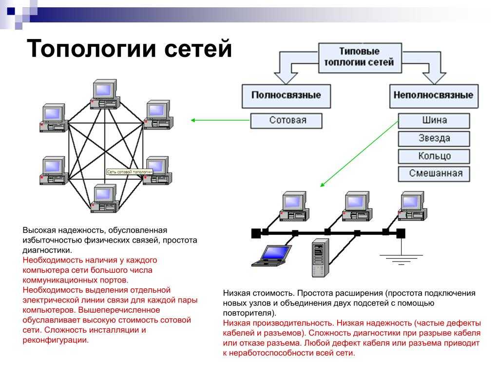 Одноранговую локальную сеть с топологией линейная шина недостатки преимущества » posetke