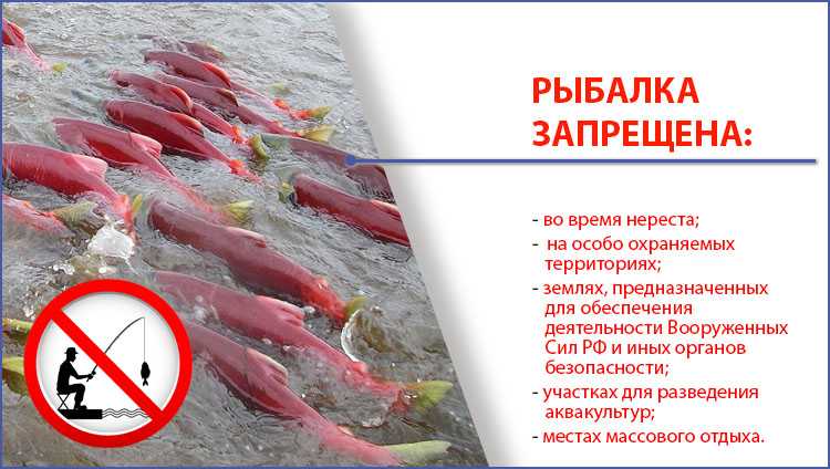 Какие маломерные суда не подлежат регистрации в гимс в 2023 году