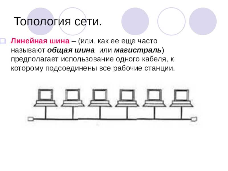 Возможные типы локальных сетей в офисе фирмы