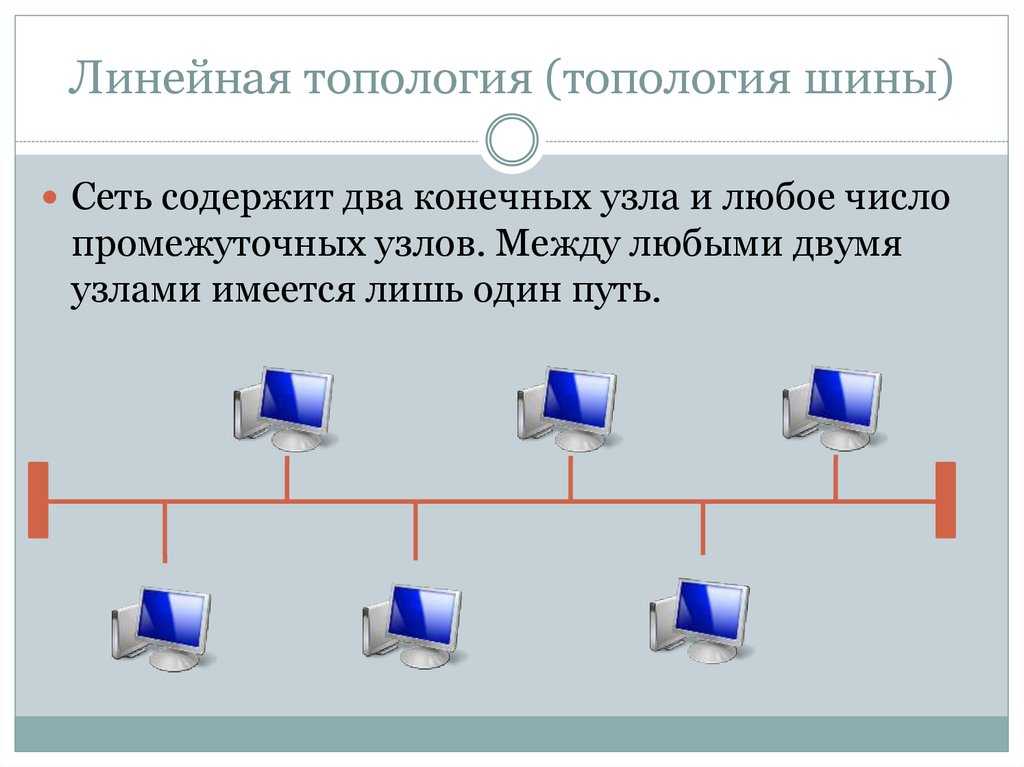 Виды топологий локальных сетей (звезда, кольцо, шина)