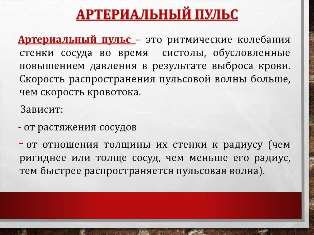Презентация движение крови по сосудам регуляция кровообращения. презентация " движение крови по сосудам"