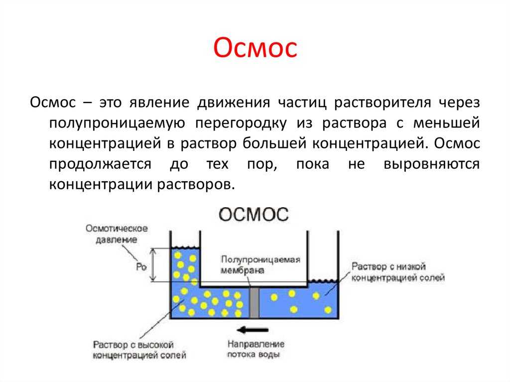 Обзор картриджей и засыпок с ионообменной смолой
обзор картриджей и засыпок с ионообменной смолой