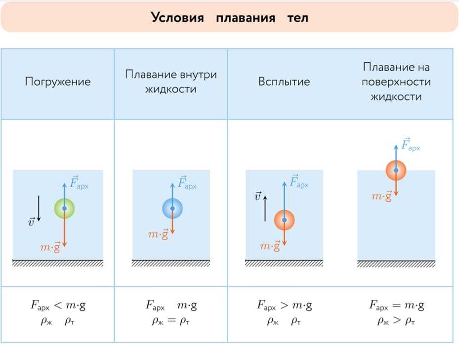 Сила архимеда: формула и суть закона силы архимеда в жидкостях и газах, как действует сила архимеда