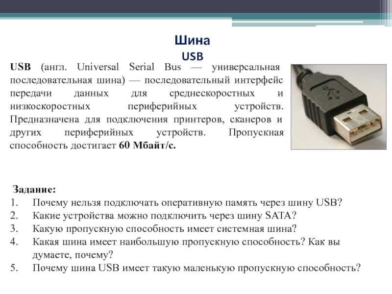 Что такое шина данных в информатике: типы, назначение, принцип работы