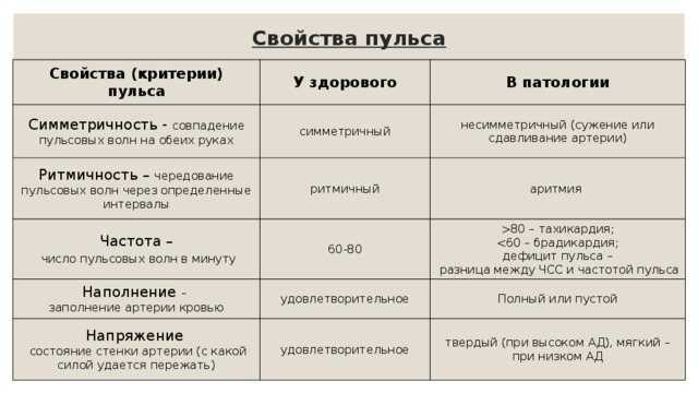 Лимфатическая система человека
