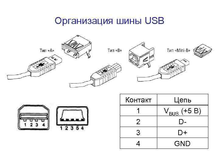 Usb 2.0 и 3.0: отличия версий разъёмов