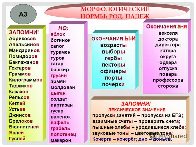 Задание 7 егэ по русскому языку 2024: теория и практика