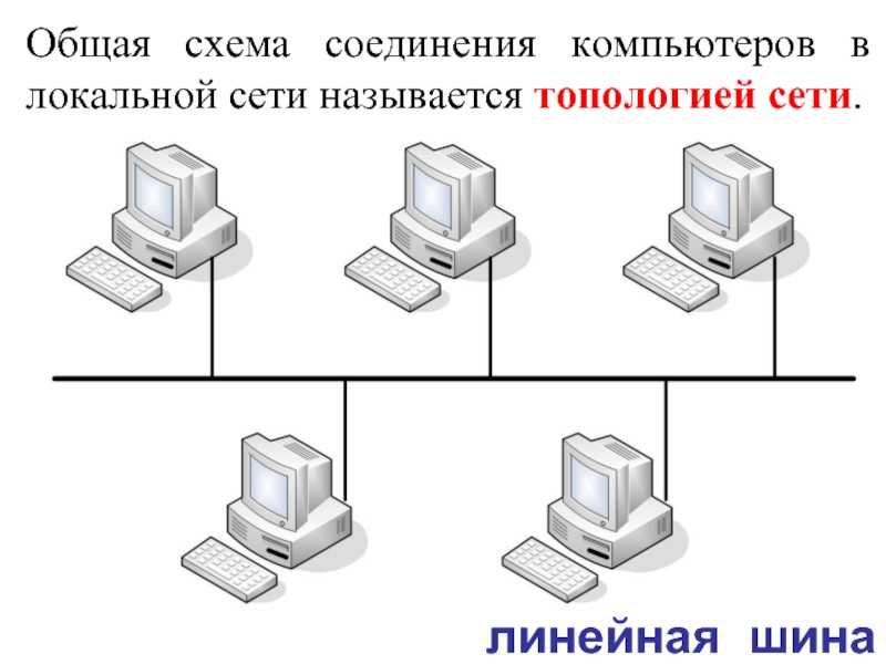 Твой сетевичок