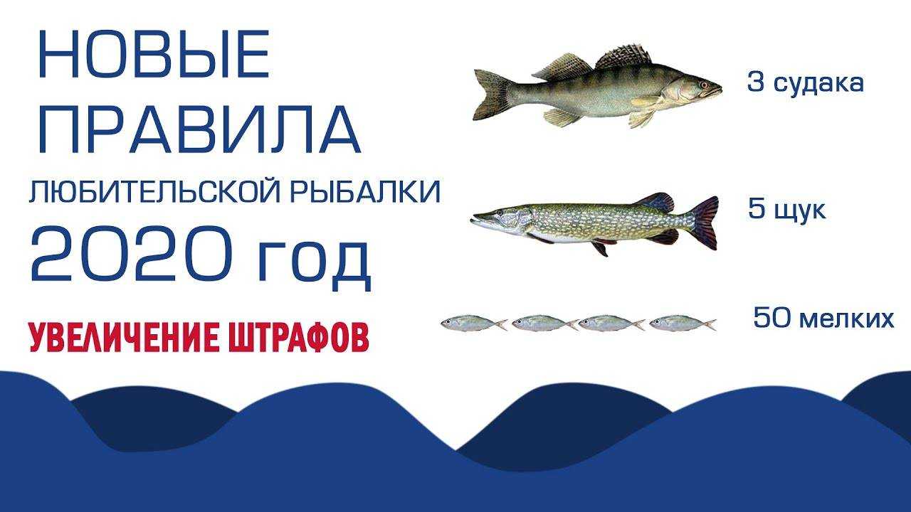 Нерестовый запрет 2023. что можно, а что нельзя
