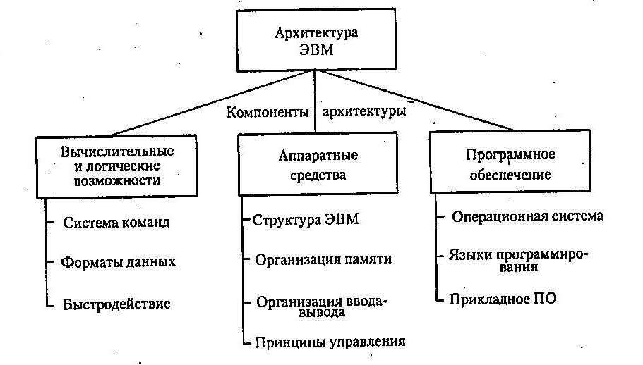 Информатика: лекционный материал