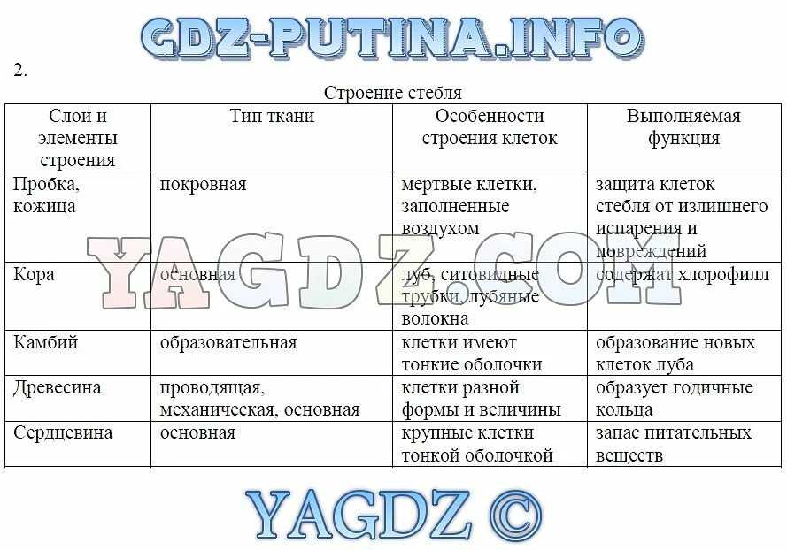 Шины в микропроцессорной системе