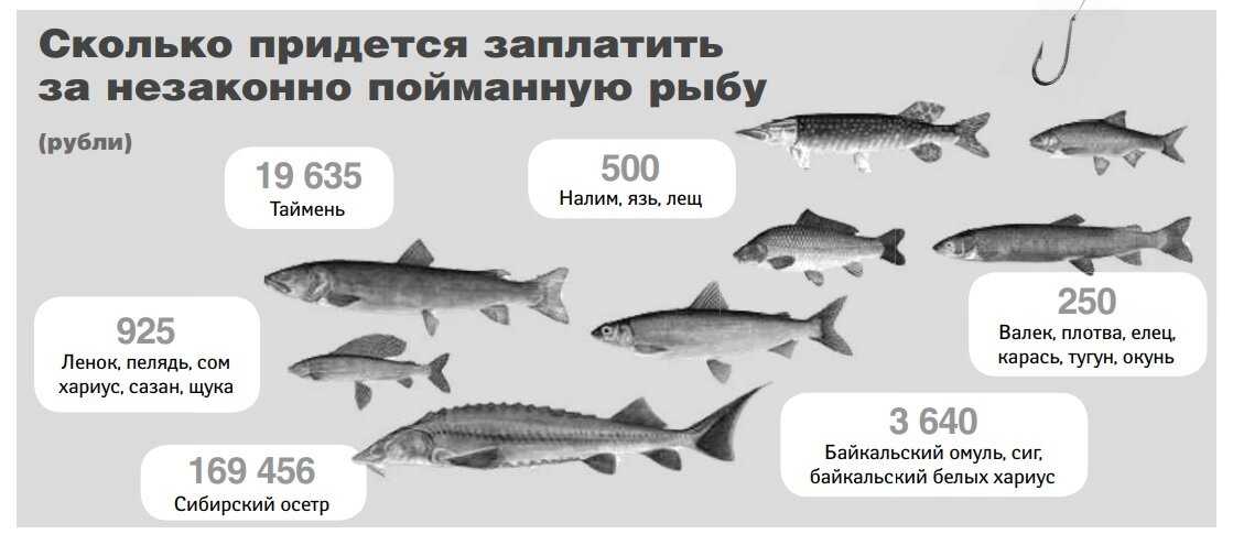 Приказ мчс рф от 06.07.2020 n 487