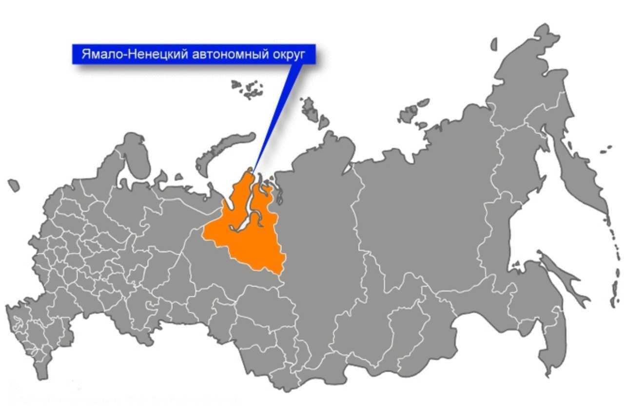 Цифровые автомобильные коды регионов россии.