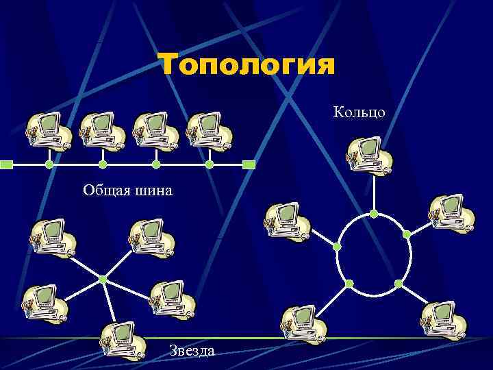 Топология локальной сети «шина»: преимущества и недостатки, сравнение с другими