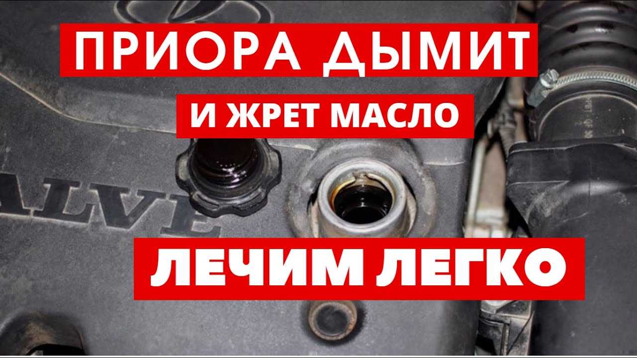 Плотность моторного масла – от чего зависит? + видео | tuningkod