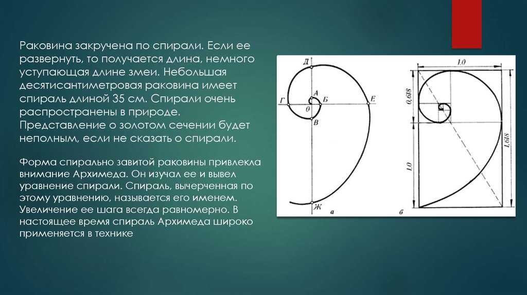 Коэффициент роста спирали: определение и примеры использования