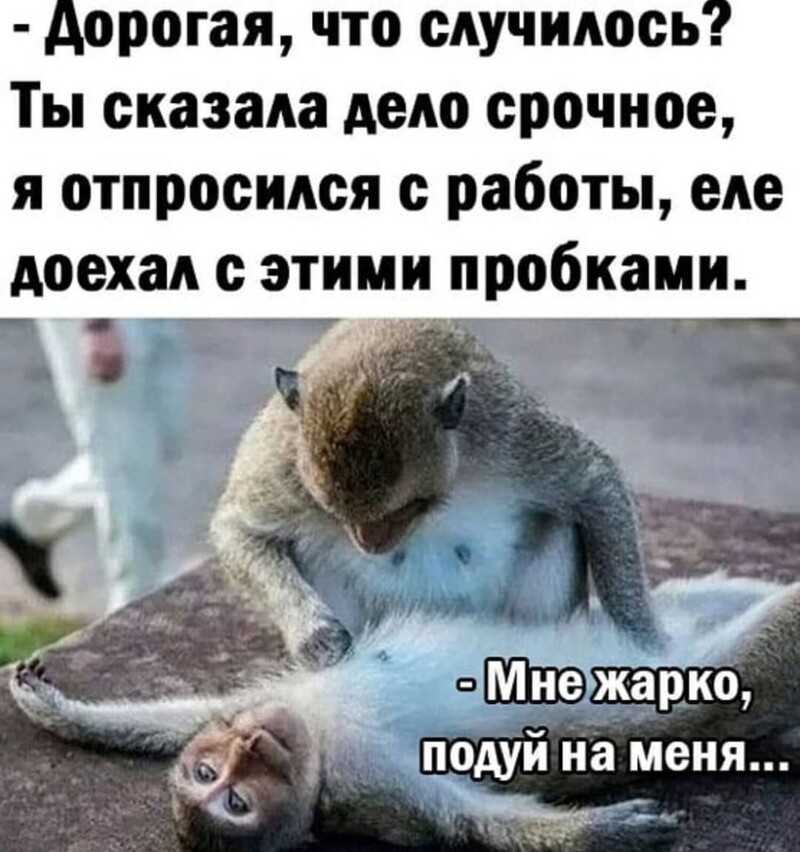 Как пыль от катализатора попадает в цилиндры