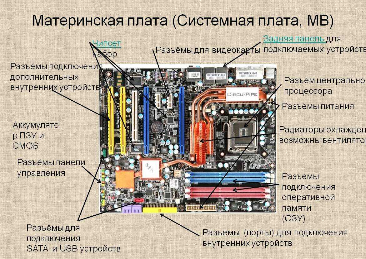 Многопроводная линия для информационного обмена данными между устройствами компьютера называется